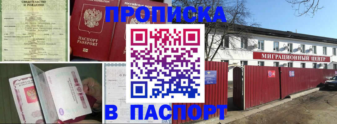регистрация в Новозыбкове